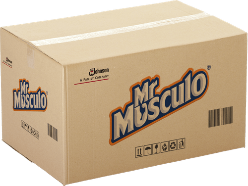 Desengordurante Mr Músculo Cozinha Laranja Squeeze 500ml