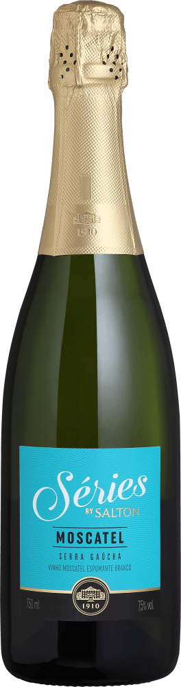 Espumante Brasileiro Salton Séries 750ml