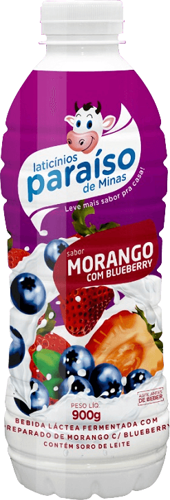 Bebida Láctea Paraíso Morango e Blueberry 900g