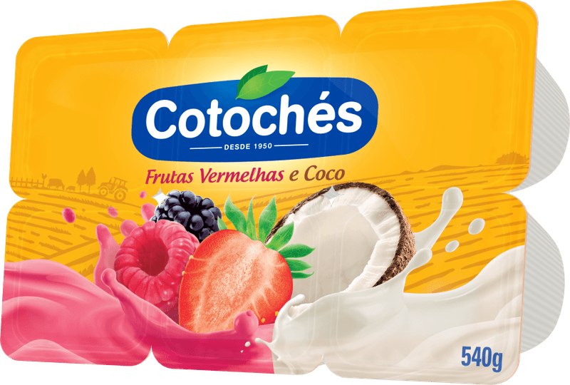 Bebida-Lactea-Cotoches-Frutas-Vermelhas-com-Coco-540g