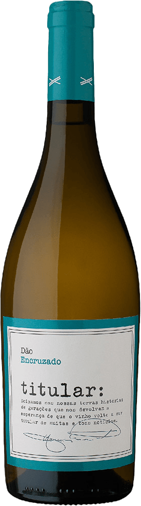 Vinho-Portugues-Titular-Encruzado-Dao-D.O.C.-Branco-750ml