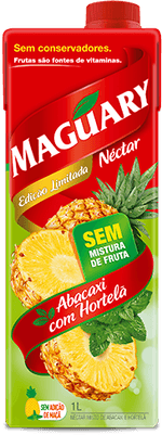 Nectar-Maguary-de-Abacaxi-com-Hortela-Tetra-Pak-Caixa-1L