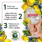 Bebida-Mista-Alcoolica-Lemon--amp--Ginger-Beefeater-Botanics-Garrafa-750ml