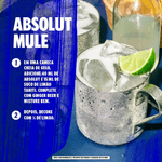 Vodka-Absolut-750-ml