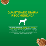 Alimento-Para-Caes-Filhotes-Dog-Chow-Vida-Saudavel-Franguinho-Ao-Molho-Sache-100-G