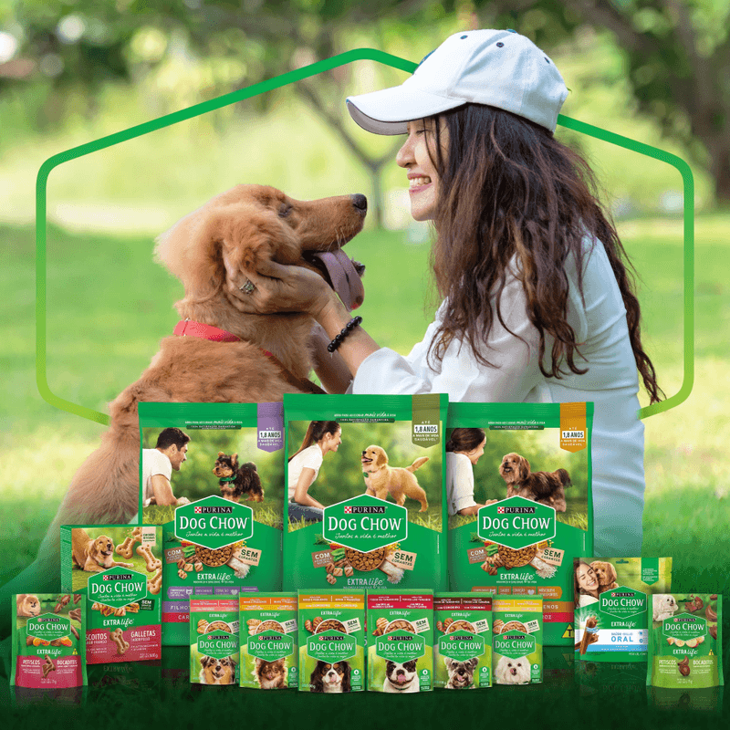 Alimento-Para-Caes-Filhotes-Dog-Chow-Vida-Saudavel-Franguinho-Ao-Molho-Sache-100-G