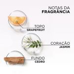 Tratamento-Antiporosidade-L-Oreal-Paris-Elseve-Glycolic-Gloss-300G