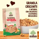 Granola-Tradicional-com-Castanhas-Brasileiras-Mae-Terra-Pacote-800g