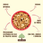 Granola-Tradicional-com-Castanhas-Brasileiras-Mae-Terra-Pacote-800g