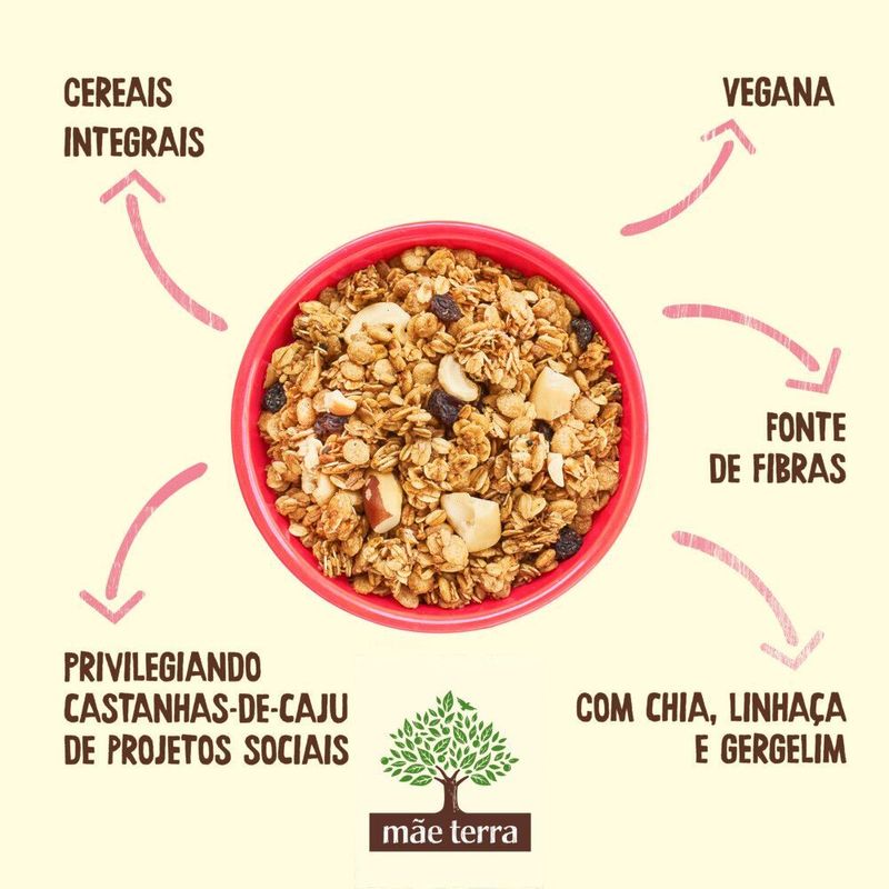 Granola-Tradicional-com-Castanhas-Brasileiras-Mae-Terra-Pacote-800g