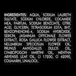 Sabonete-Liquido-Orquidea-Negra-Lux-Botanicals-Sache-200ml-Refil