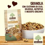 Granola-mae-terra-Castanha-de-caju-Amigos-do-Bem-400-g