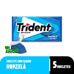 Chiclete-Trident-Hortela-Sem-Acucar--8g