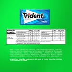 Chiclete-Trident-Hortela-Sem-Acucar--8g