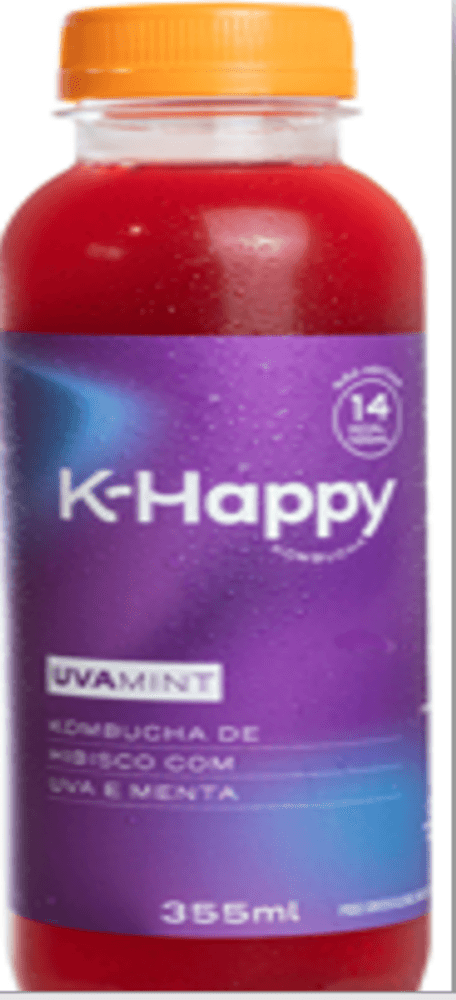 BEB KOMBUCHA KHAPPY 355ML-UVA MINT
