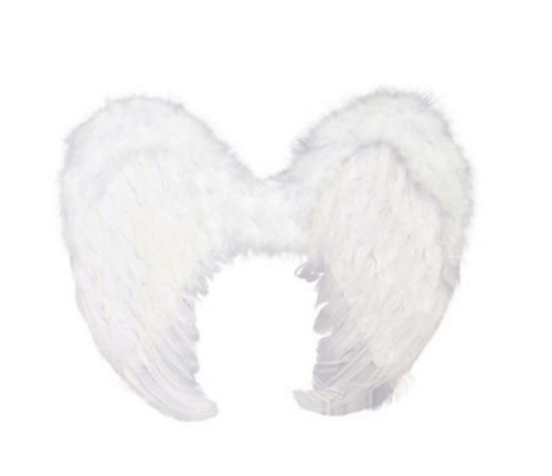 ASA DE ANJO BRANCA 45 X 35