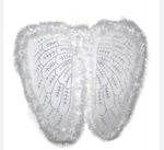ASA-DE-ANJO-CINTILANTE-60-X-35