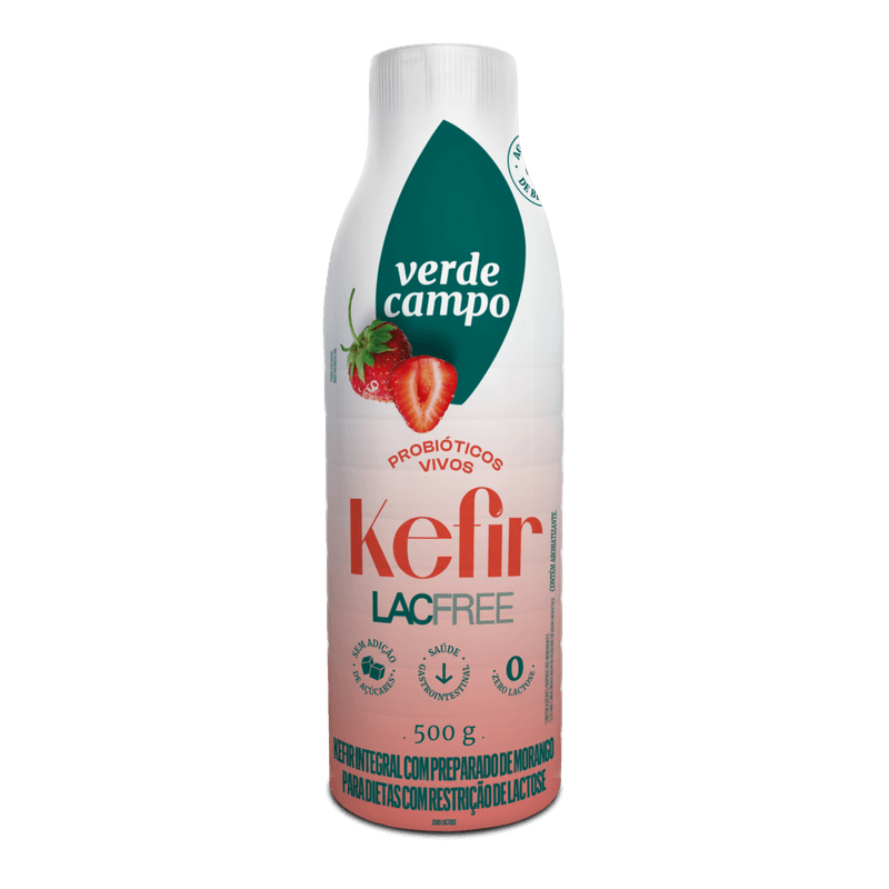KEFIR-VCAMPO-LACFREE-MORANGO--GF-500G
