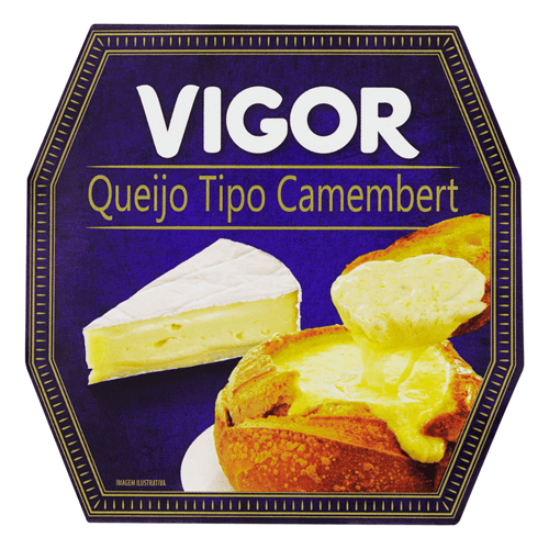 QUEIJO CAMEMBERT VIGOR 120G FRACAO