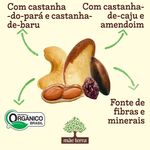 Mix-de-Castanhas-Mae-Terra-Remix-Castanhas-Brasileiras-25g