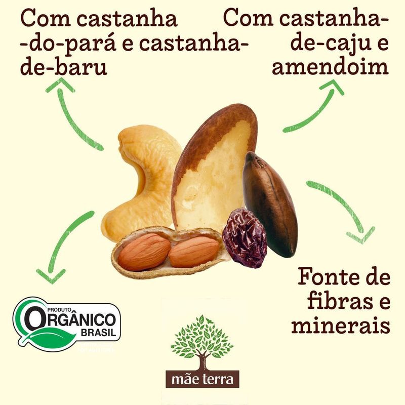 Mix-de-Castanhas-Mae-Terra-Remix-Castanhas-Brasileiras-25g