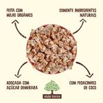 Pipoca-Doce-Pronta-Organica-Mae-Terra-Nupoca-Mascavo-com-Coco-40g