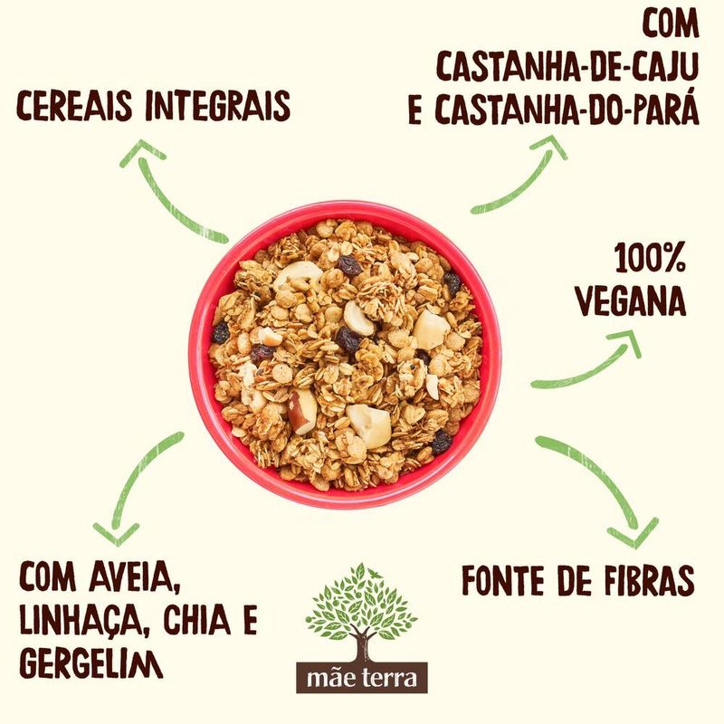 Granola-Tradicional-com-Castanhas-Brasileiras-Mae-Terra-Pacote-800g