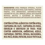 Granola-Tradicional-Zero-Acucar-Mae-Terra-Pacote-250g