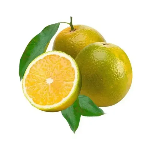 Laranja Pera Rio Sn 1Kg