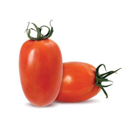 Tomate Ital Sn 1Kg