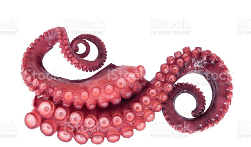 Tentaculo Polvo Supernosso Congelado 270g