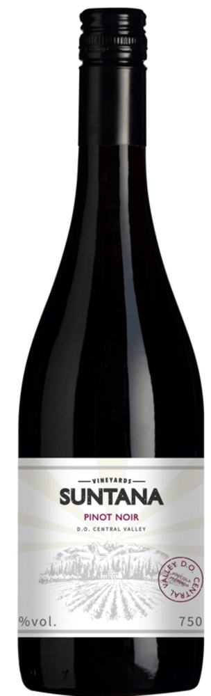 VINHO CHILENO SUNTANA TINTO PINOT NOIR GARRAFA 750ML